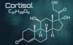 Formula química del cortisol